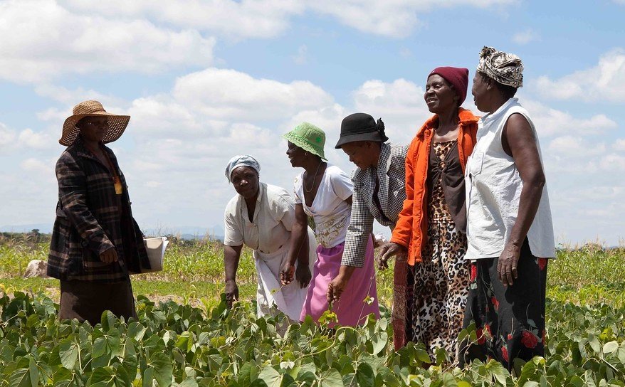 19 técnicos de escolas de campo recebem meios de trabalho no Bengo