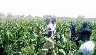 Criada plataforma de jovens agrícolas no meio rural