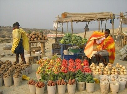 30% da produção agrícola África perde por falta de infra-estruturas