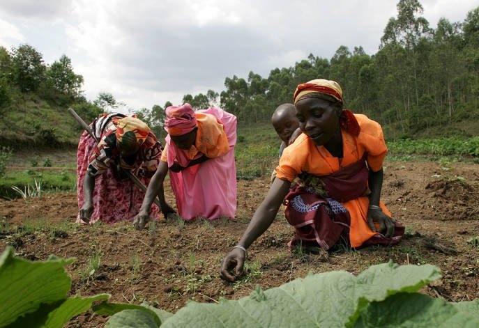 Projecto da Agricultura Familiar recebe 28 milhões de dólares