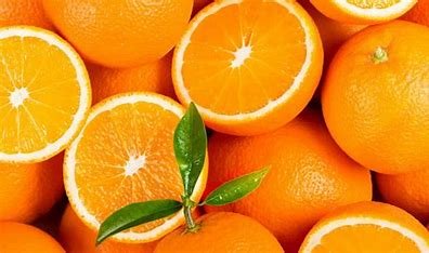 laranja não era doce como a conhecemos hoje “O percurso da laranja”