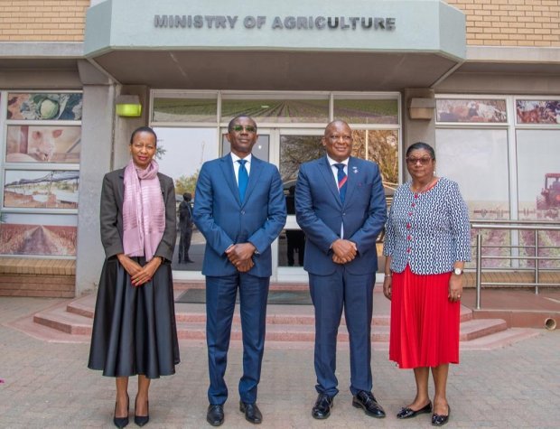 Angola e Botswana perspectivam acordos agro-pecuários