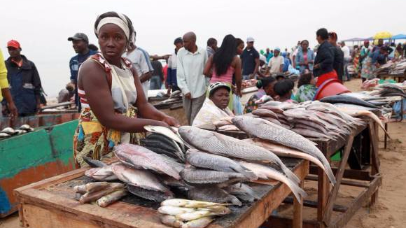 Alterações climáticas contribuem na redução da captura do pescado no país