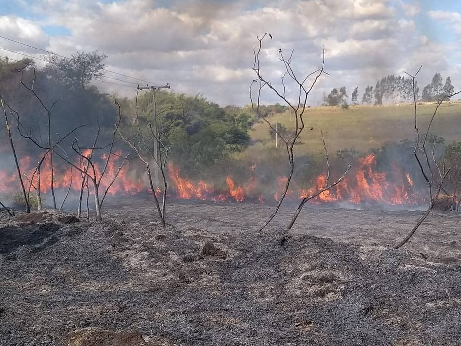 INCÊNDIO DESTRÓI 280 HECTARES DE MANDIOCA NA COOPERATIVA LILAMUONO