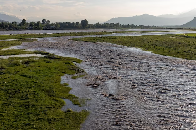 Mais de 500 campos agrícolas inundados em Icolo e Bengo