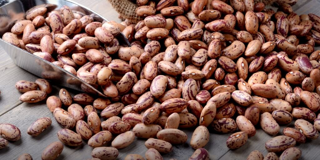 Comuna de Calussinga aposta forte na oferta de feijão